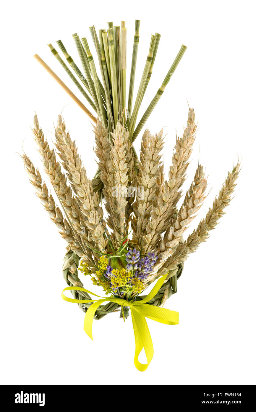 bundle of wheat with flower and band on the white background Stock Photo