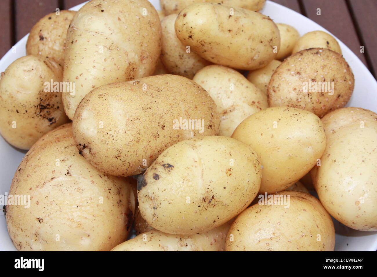 Main crop potatoes Stock Photo Alamy