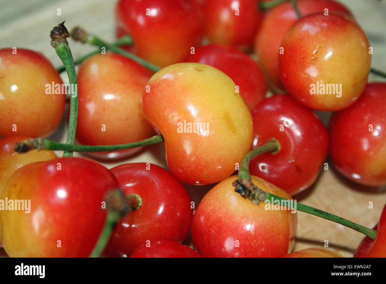 A Close-up Photograph of Ranier Cherries Stock Photo