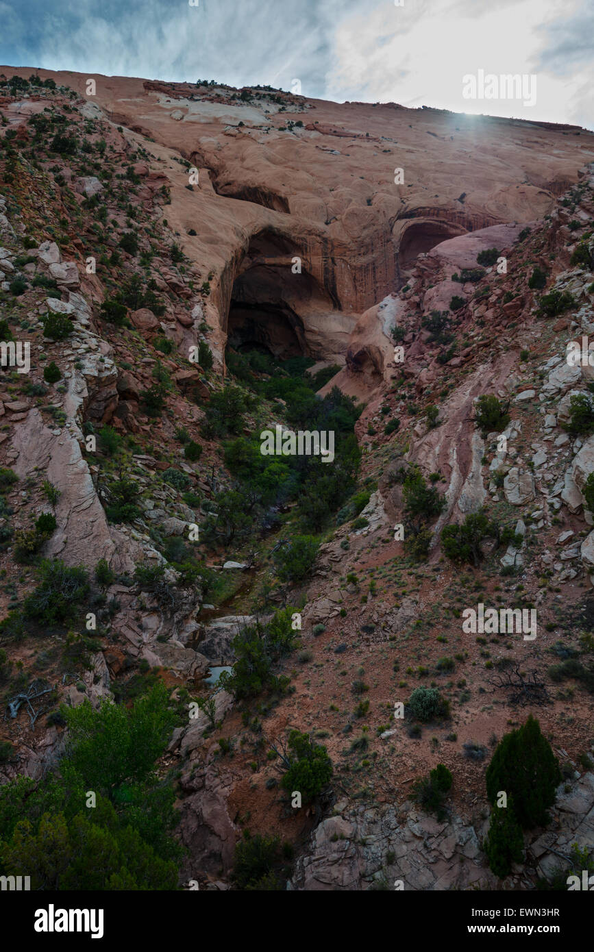 Capitol Reef Brimhall Natural Bridge National Park Stock Photo Alamy