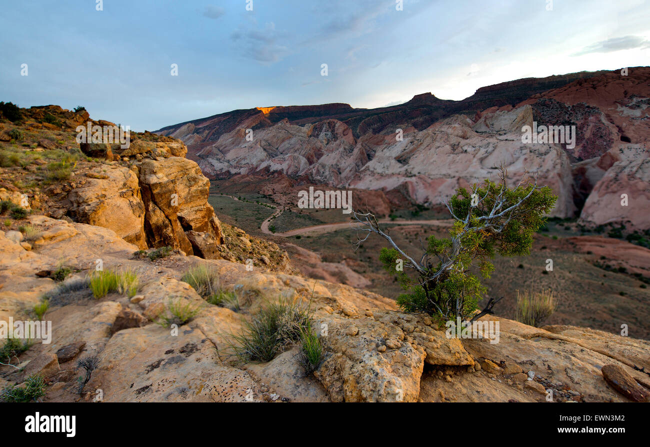 Brimhall Natural Bridge Trail Capitol Reef National Park Stock Photo