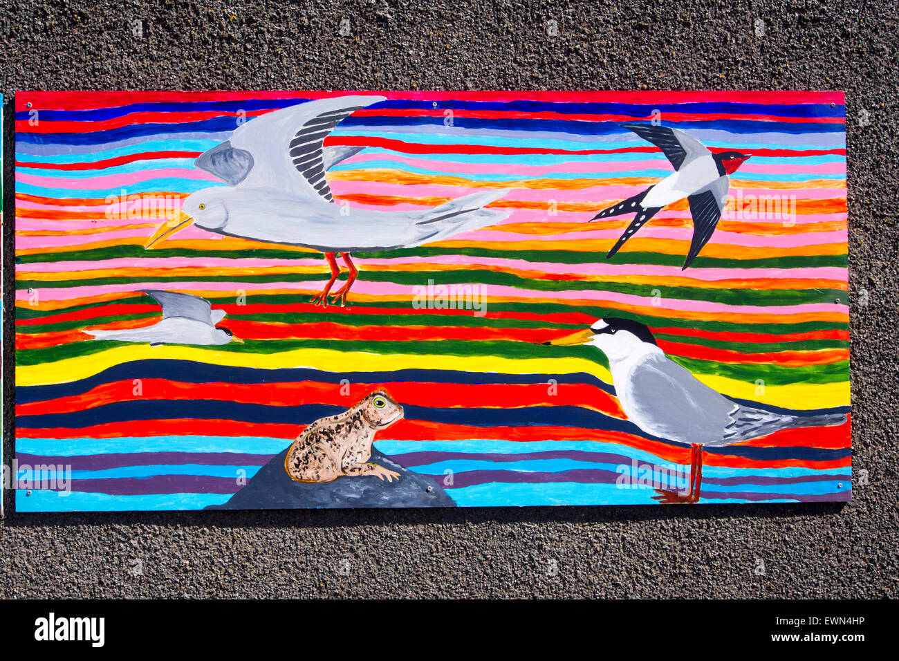Colourful artwork on a bird hide at Hodbarrow Nature reserve in Millom, with Black Combe behind, Cumbria, UK. Stock Photo
