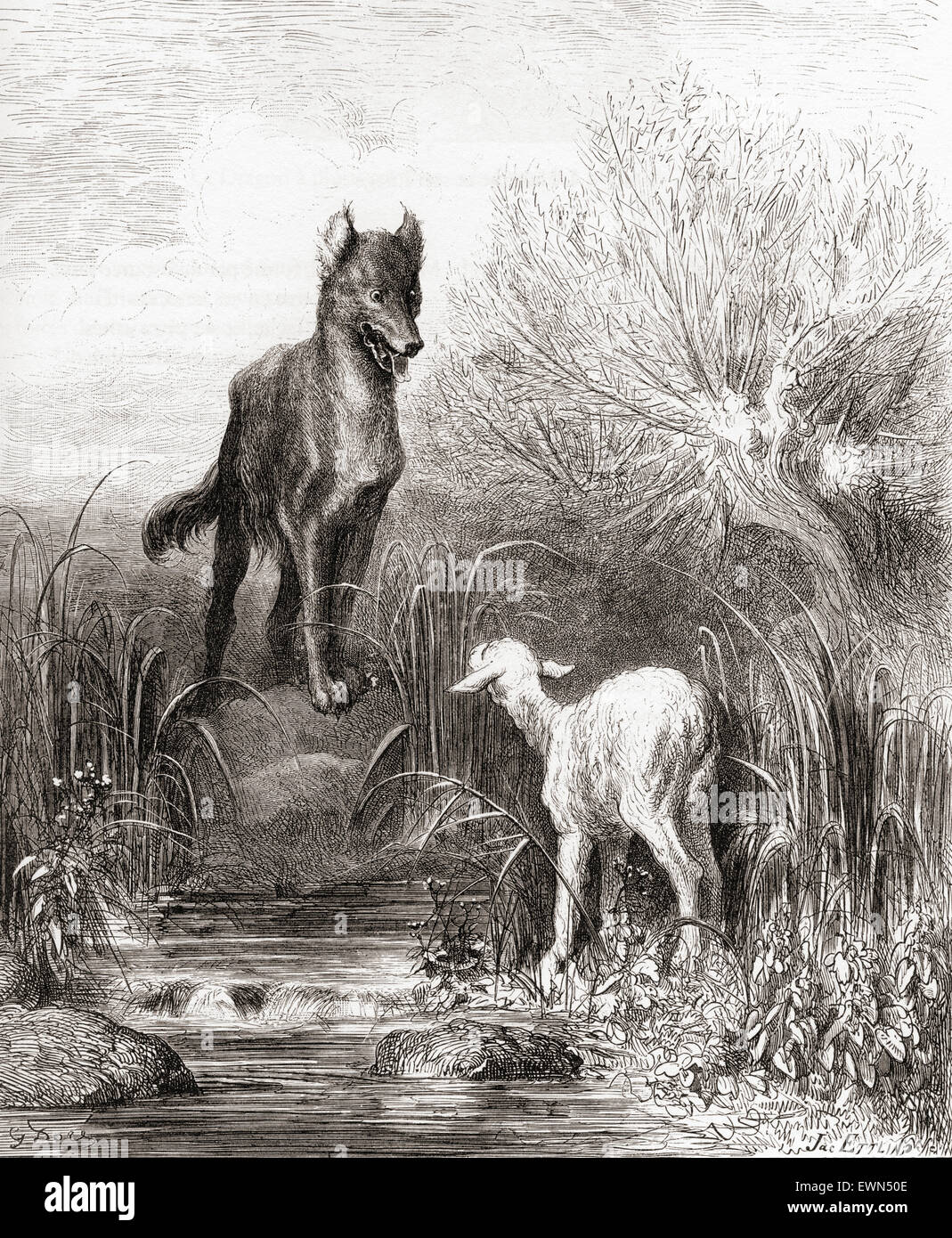 Gustave Doré's illustration of La Fontaine's fable The Wolf and the Lamb, (Le Loup et l'Agneau). Stock Photo
