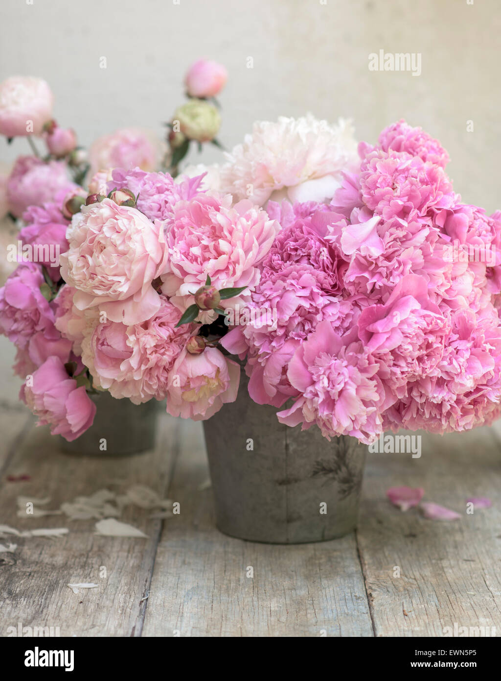 Bouquet of mixed pink and white peonies in container Stock Photo