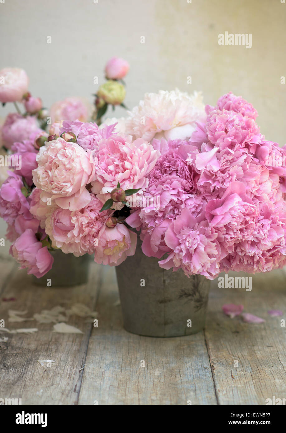 Bouquet of mixed pink and white peonies in container Stock Photo - Alamy