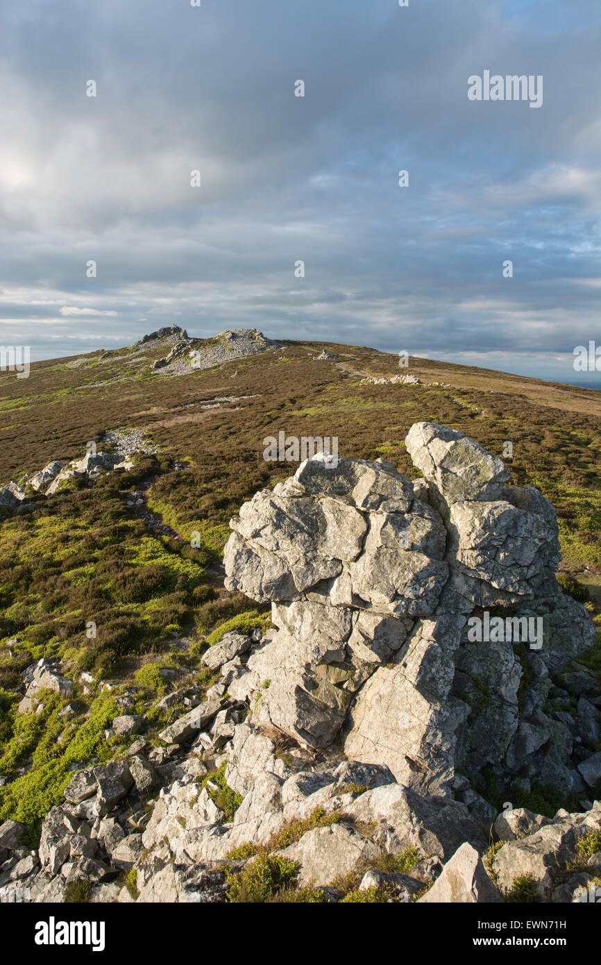 Stiperstones, a National Nature Researve in the Shropshire Hills Area of Outstanding Natural Beauty, Shropshire, England. Stock Photo