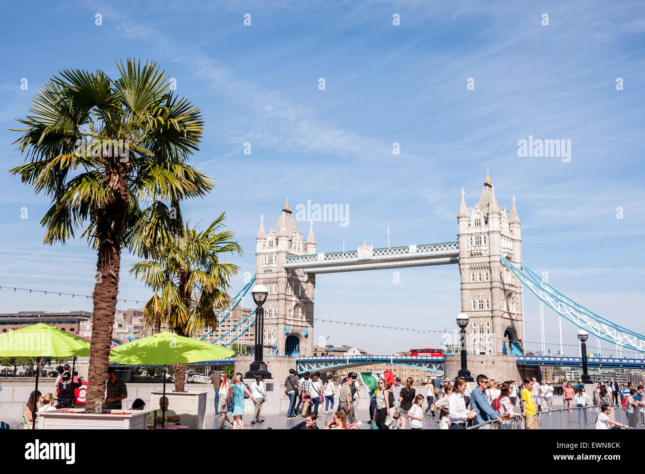 Tower bridge palm tree london hires stock photography and images Alamy