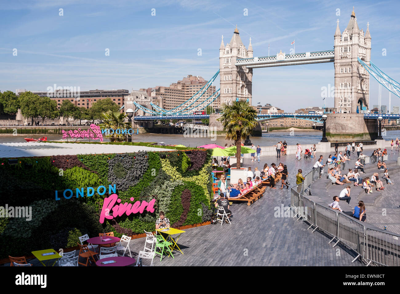 Tower bridge palm tree london hires stock photography and images Alamy