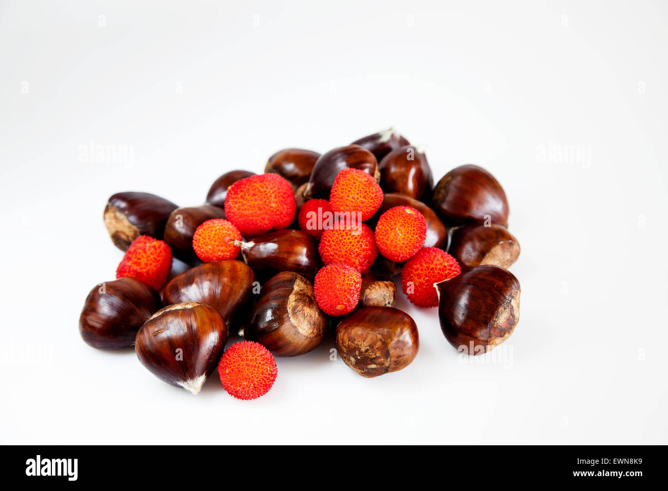 Red Autumn fruits and chestnuts, Stock Photo