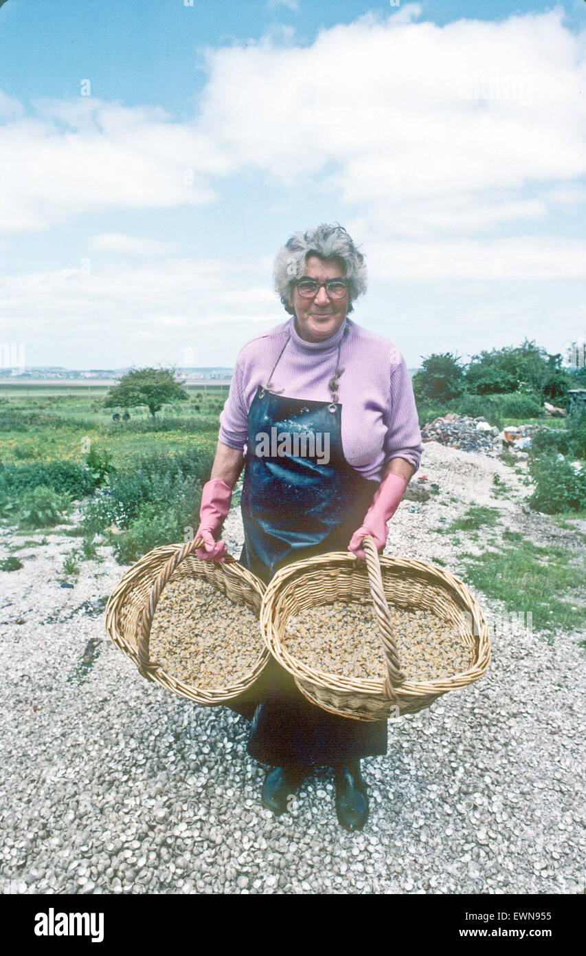 Woman cockle picker with baskets South Wales UK Stock Photo