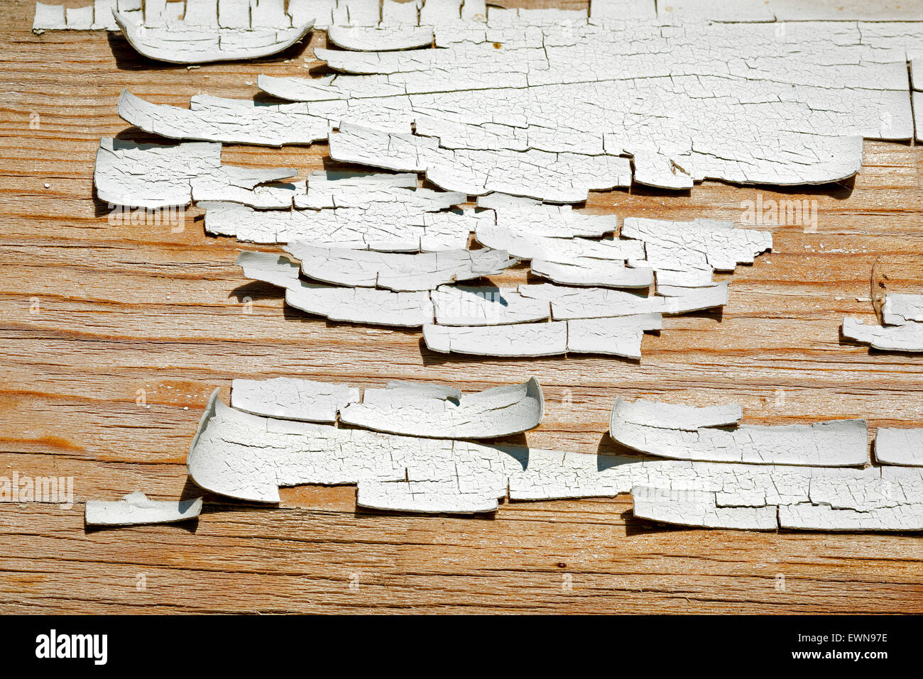 Severe peeling paint on an exterior wall Stock Photo Alamy