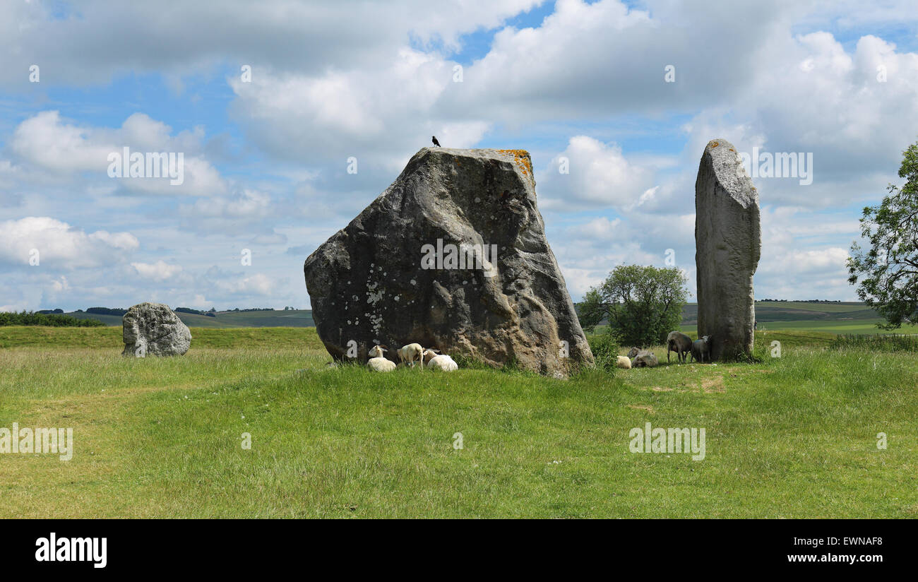 An English Rural Landscape with grazing Sheep sheltering under ancient standing stones at Avebury Stock Photo