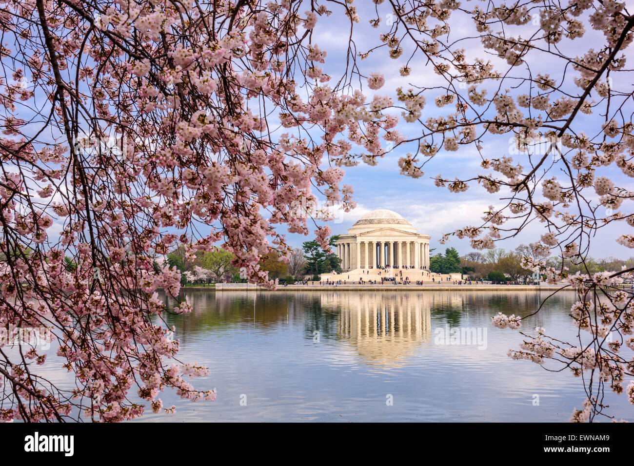 Washington, DC at the Tidal Basin and Jefferson Memorial during spring. Stock Photo