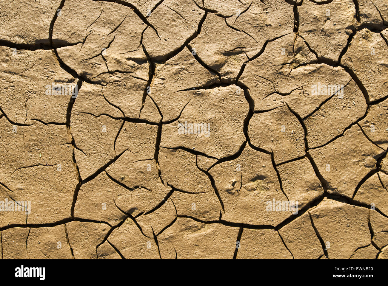 Dried mud dryness rifts flaws Stock Photo