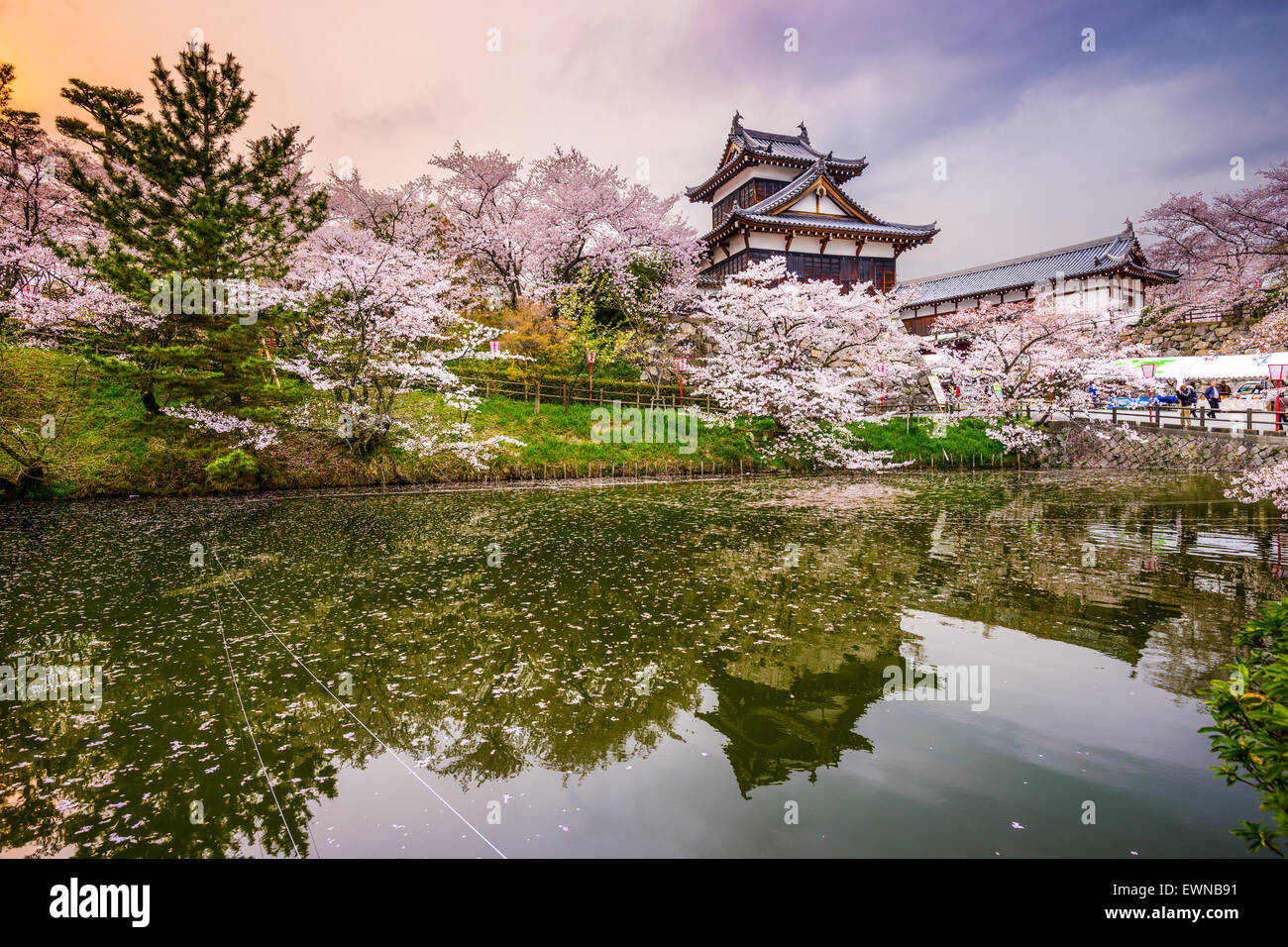 Nara, Japan at Koriyama Castle in the spring season Stock Photo