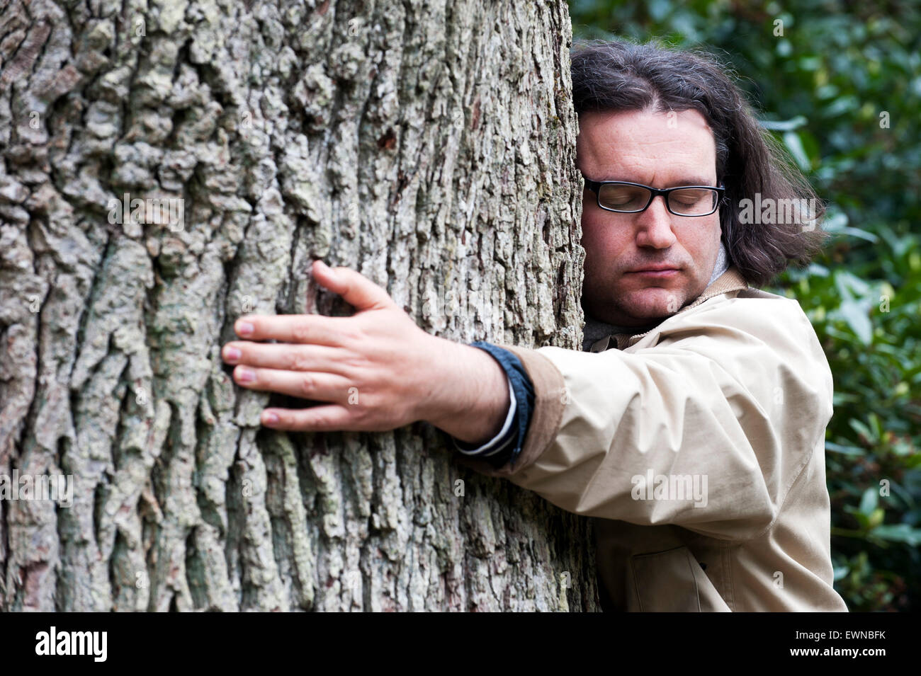Man gives a huge tree a hug Stock Photo