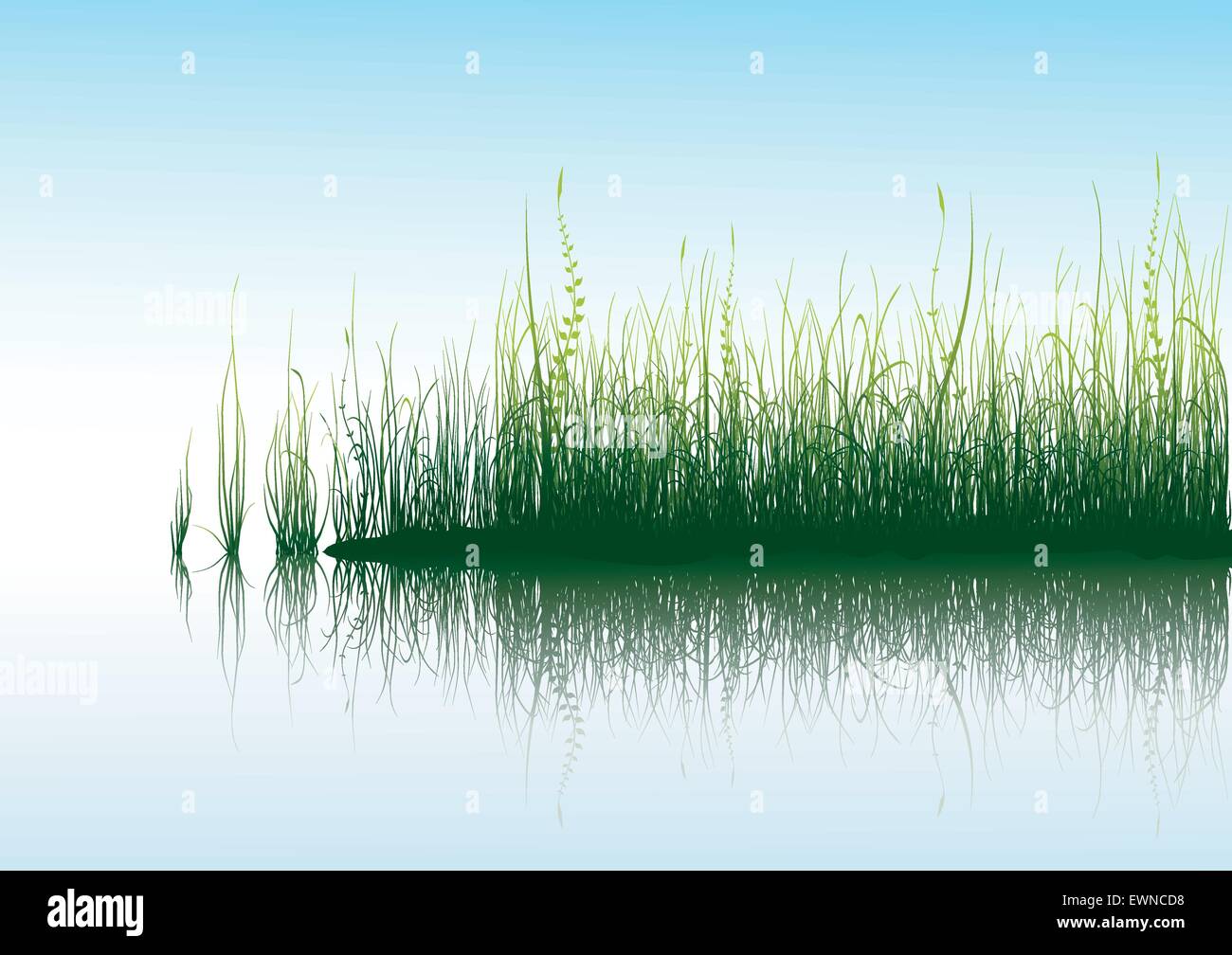 Green grass and blue sky with reflection in water Stock Vector