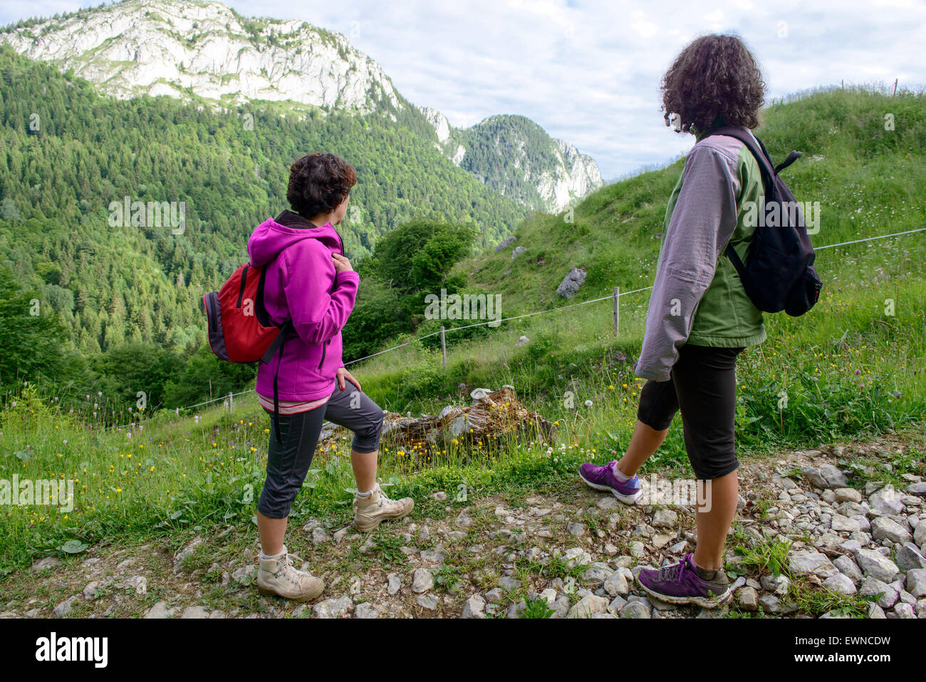 Two women hikers walking in the french mountains Stock Photo - Alamy
