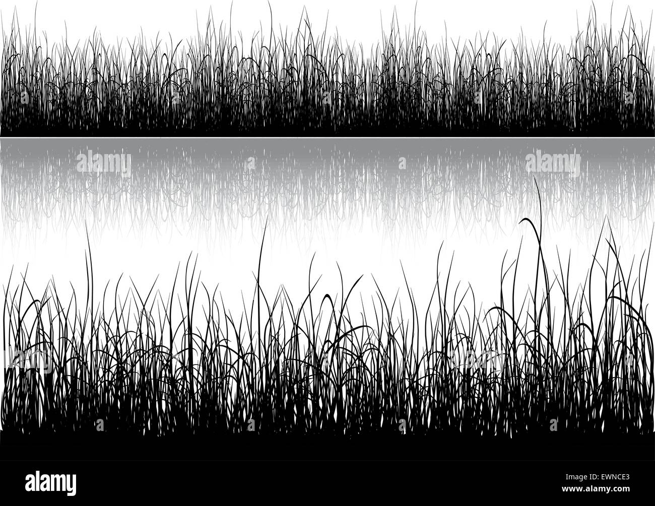 Black grass silhouette isolated on white background Stock Vector Image ...
