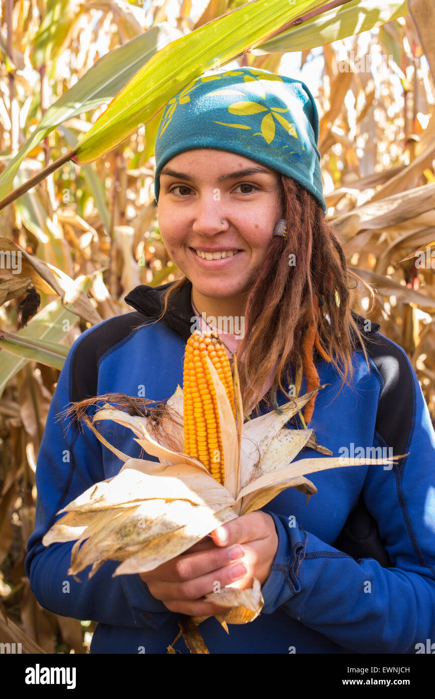 People in a cornfield Stock Photo Alamy