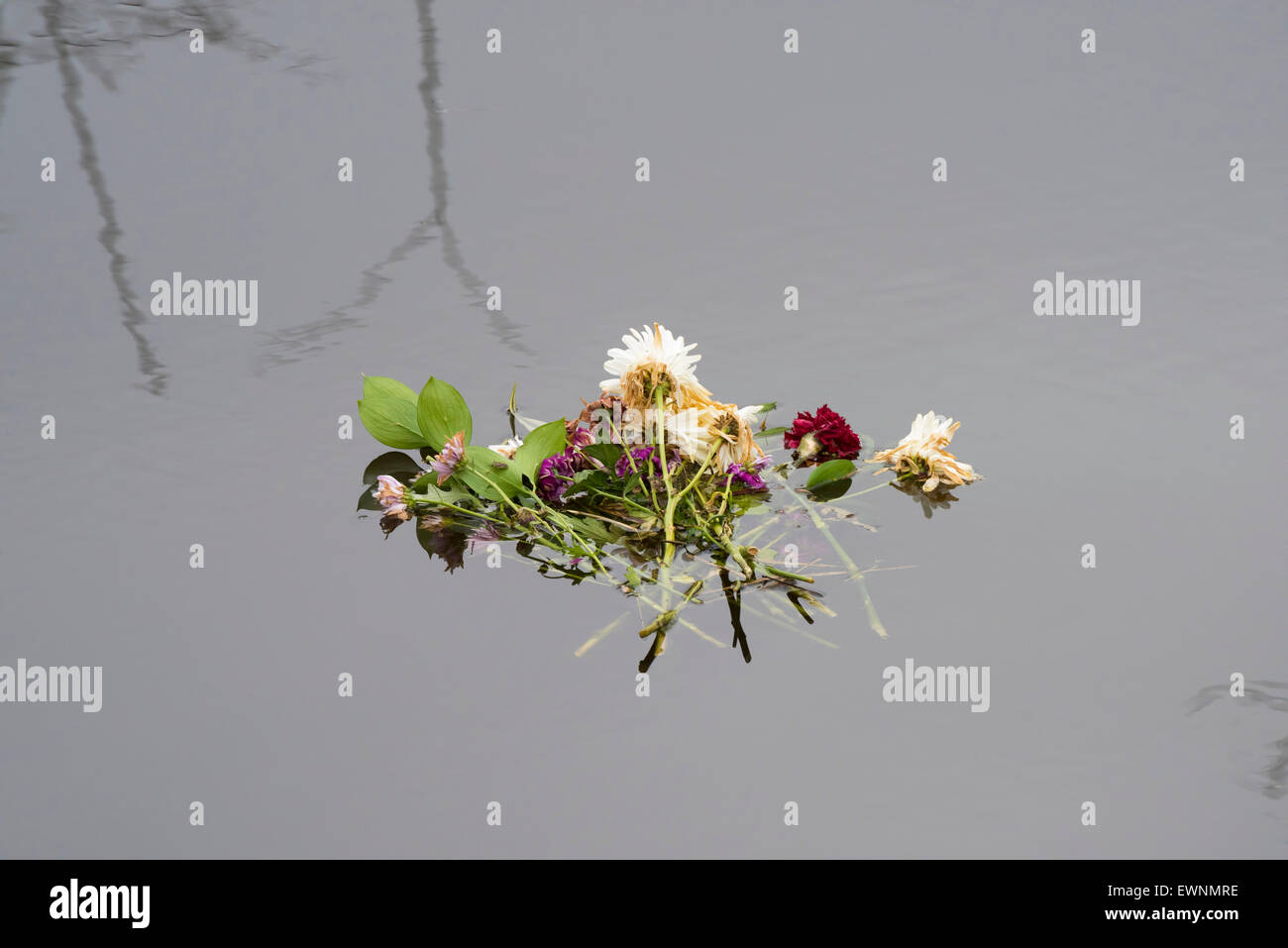 Ripon canal hi-res stock photography and images - Alamy