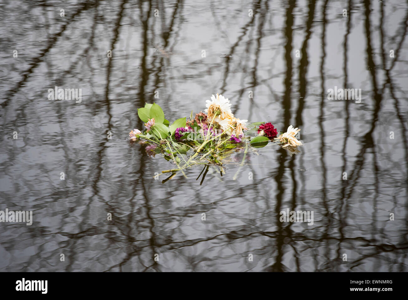 Disgarded flowers hi-res stock photography and images - Alamy