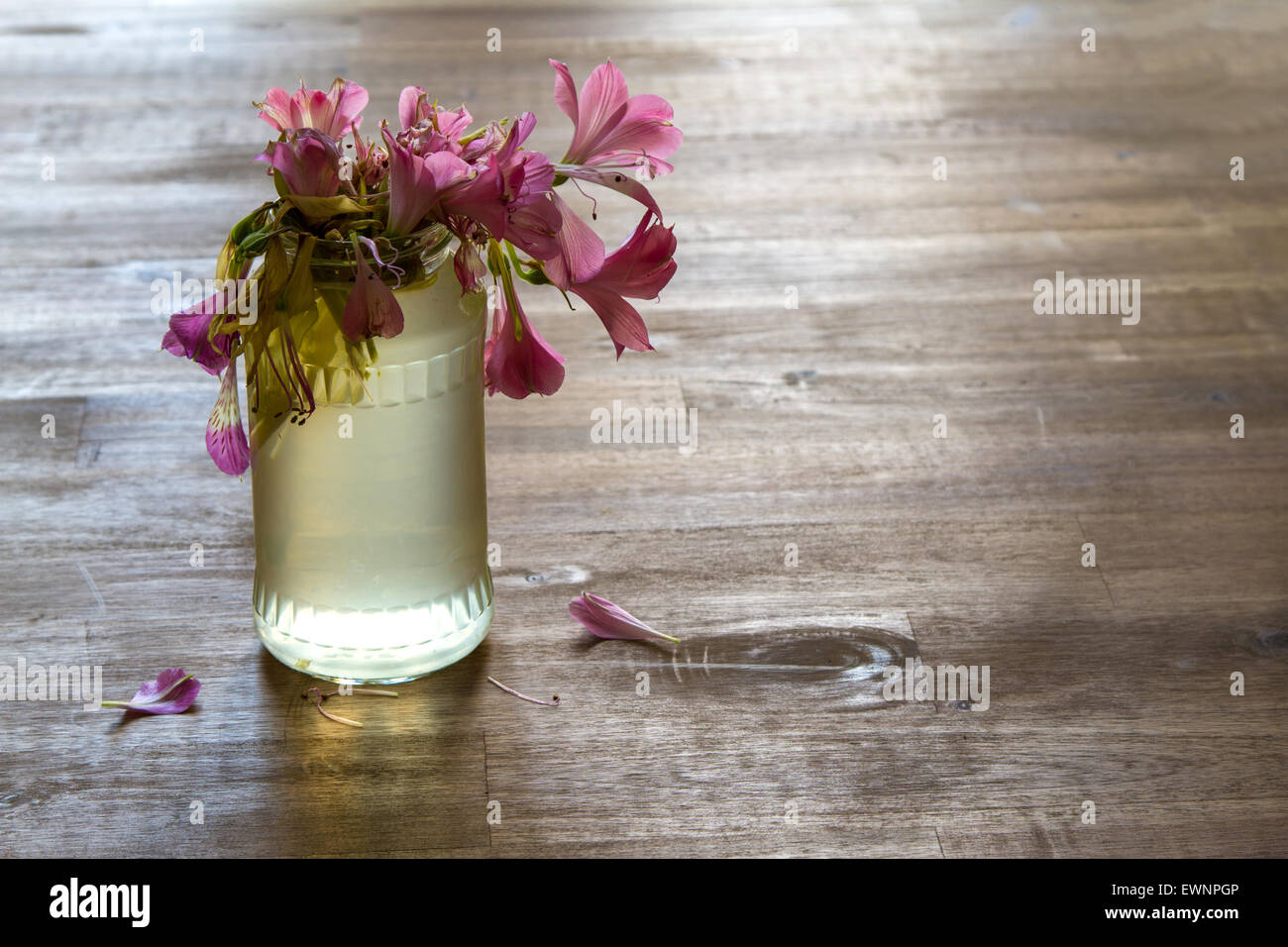 Melancholic scene of a jar with flowers Stock Photo