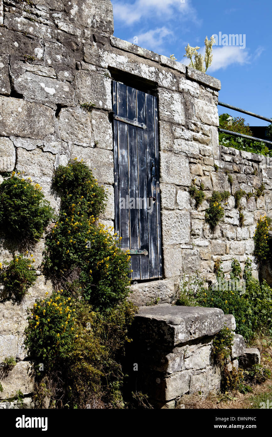 wooden door in a stone wall Stock Photo - Alamy
