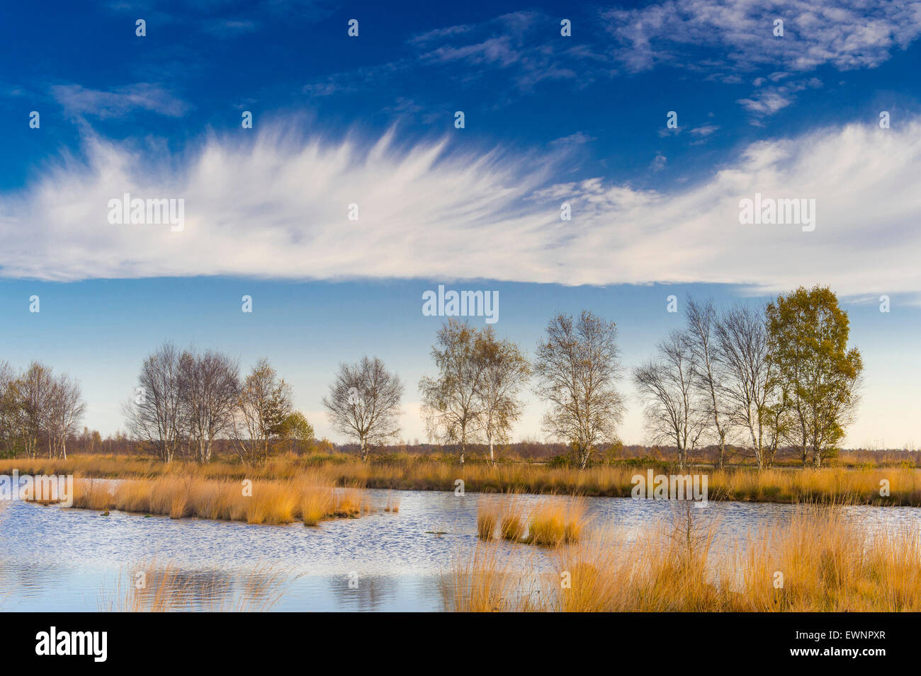 goldenstedter moor, lower saxony, germany Stock Photo