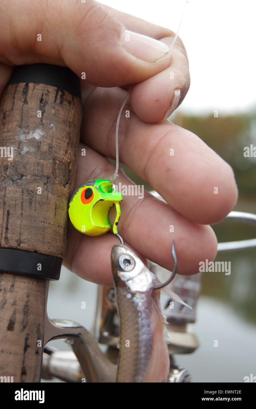 Fishing jig hi-res stock photography and images - Alamy