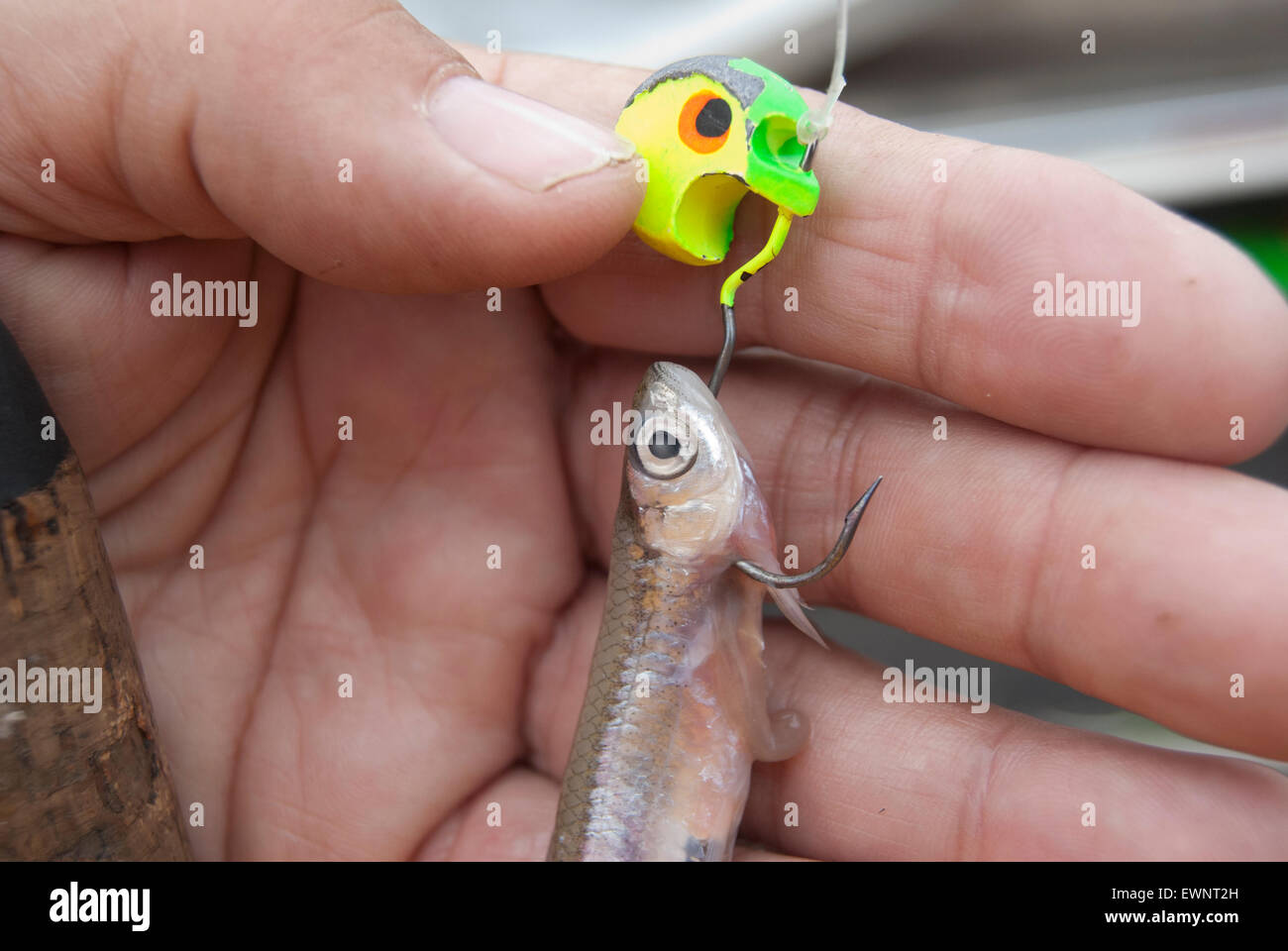 Minnow fishing hi-res stock photography and images - Alamy