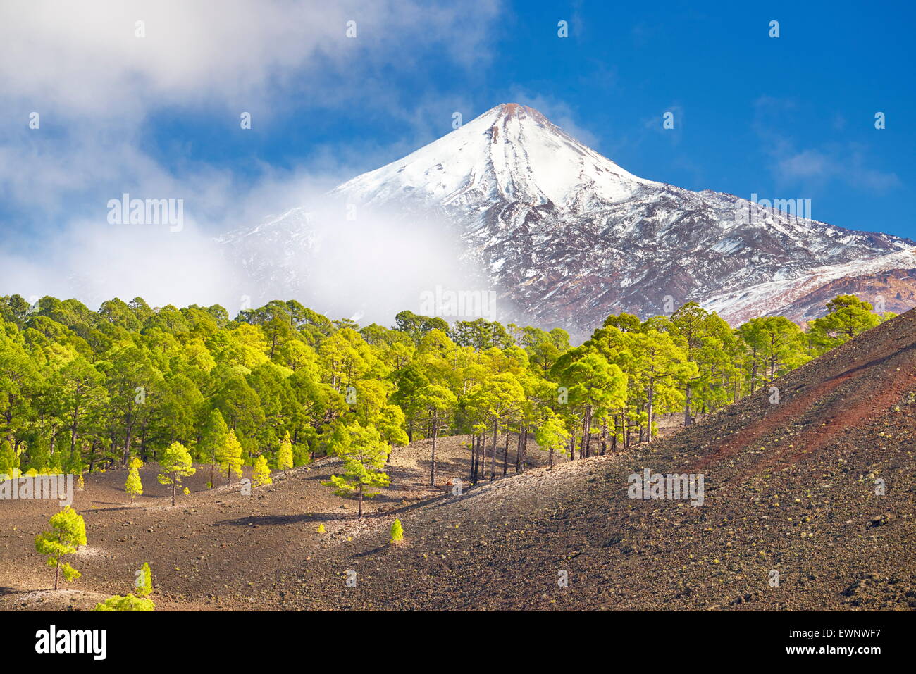 Teide National Park, Tenerife, Canary Islands, Spain Stock Photo