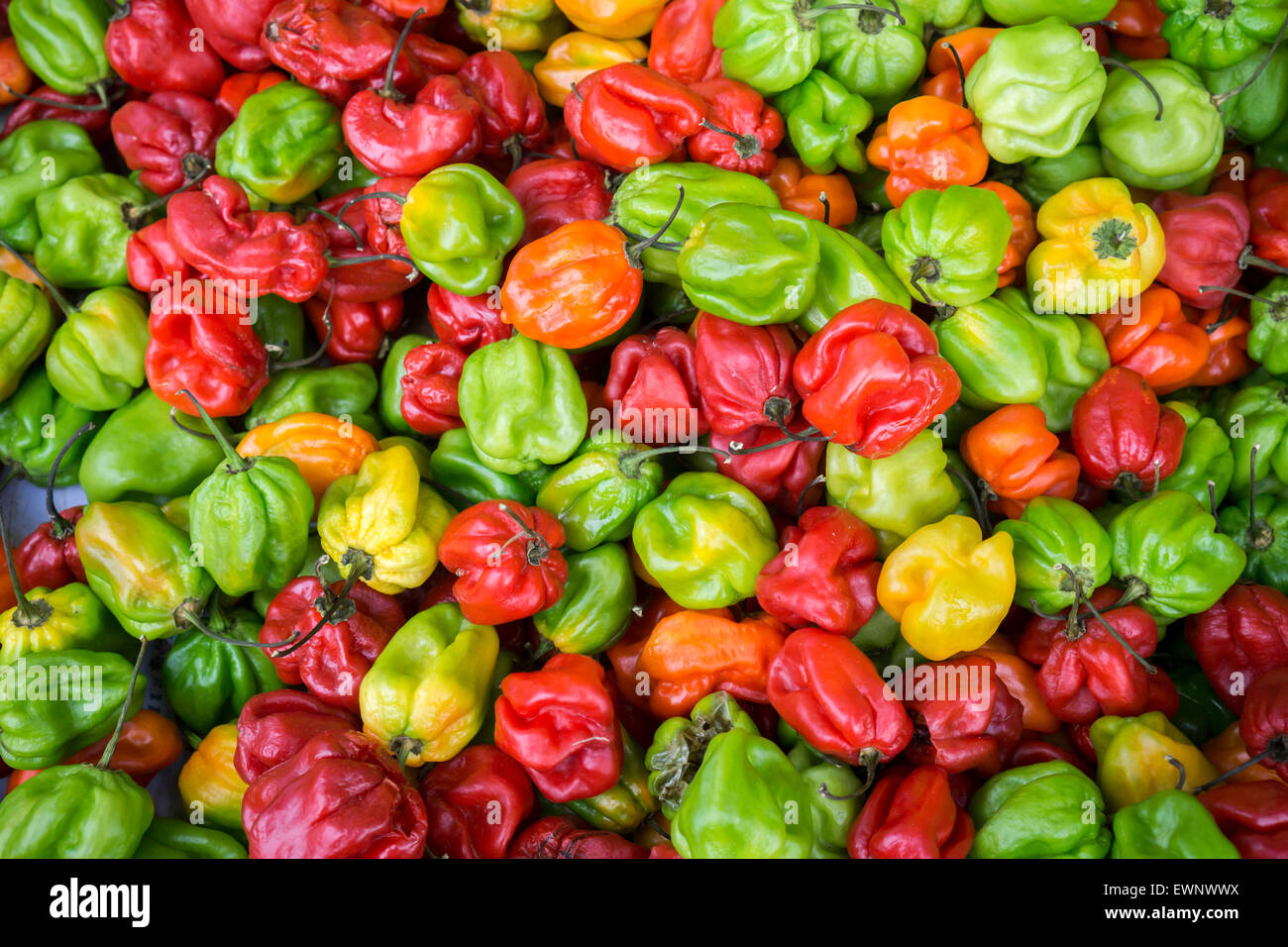 Hot peppers for sale at a grocery store in Richmond Hill in the New
