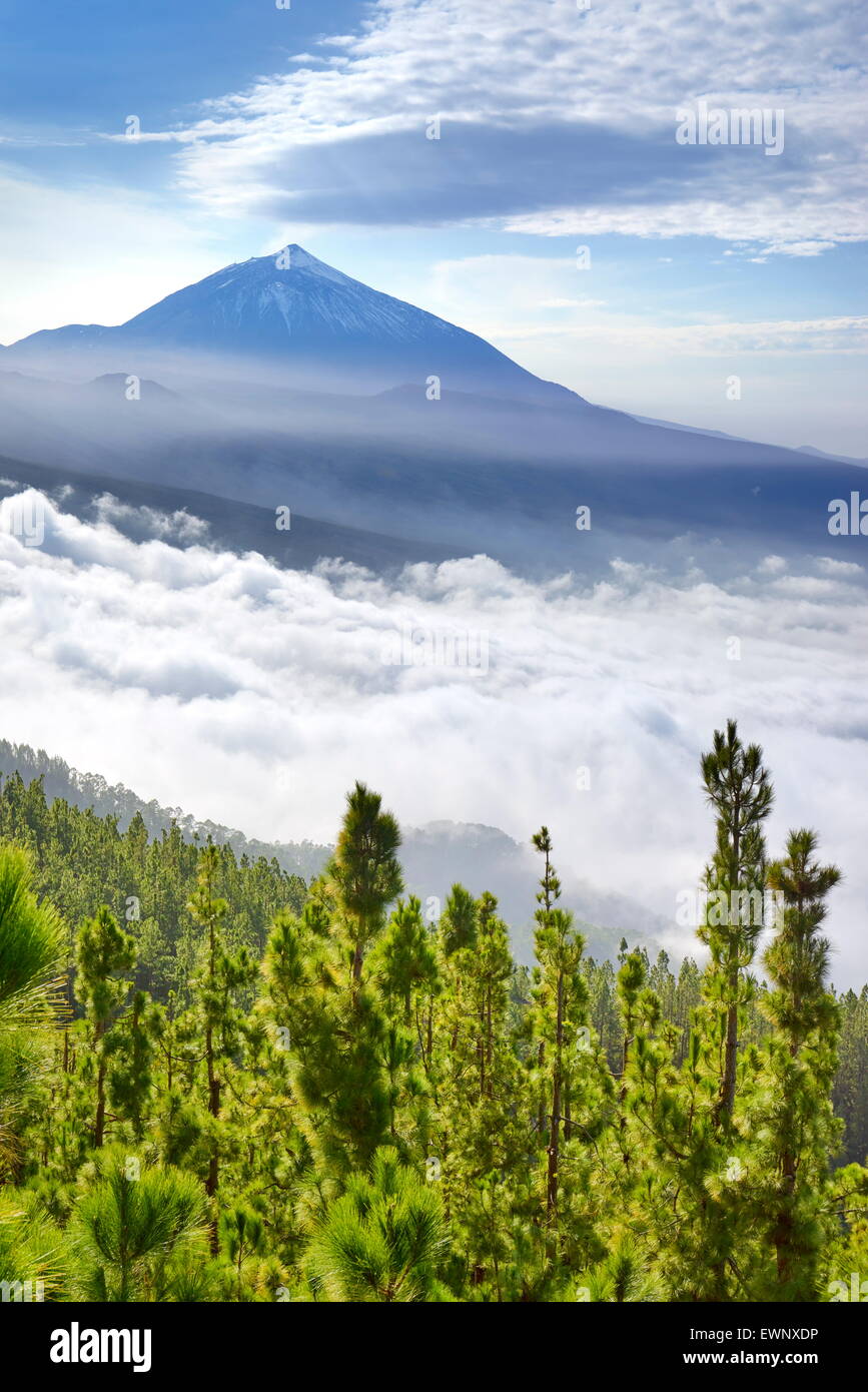 Tenerife - Teide Volcano Mount above sea of clouds, Canary Islands, Spain Stock Photo