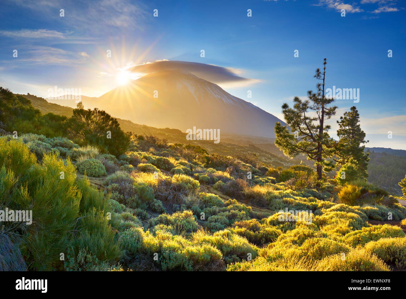Teide National Park at sunset, Tenerife, Canary Islands, Spain Stock Photo