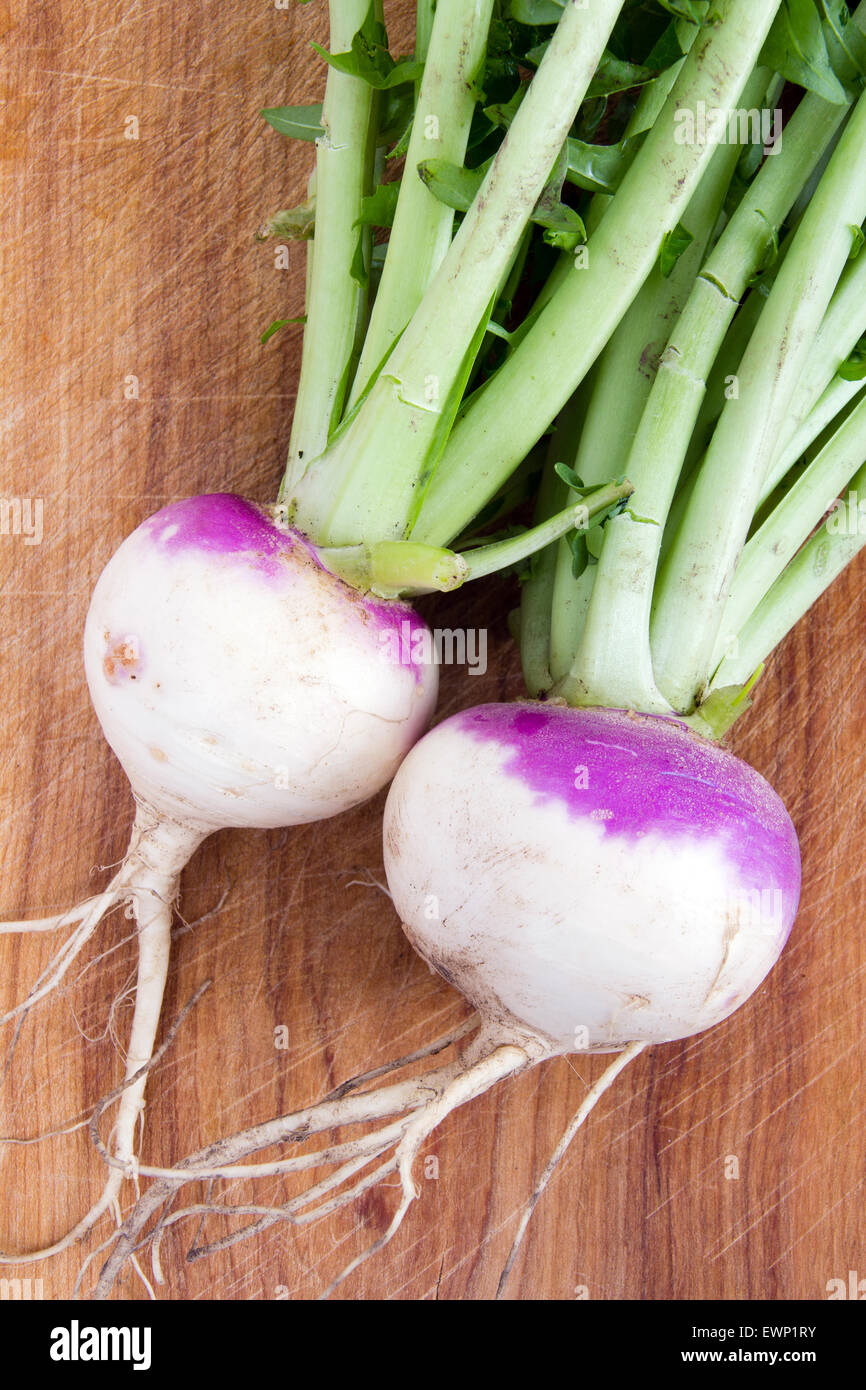 two organic purple top turnip on table Stock Photo