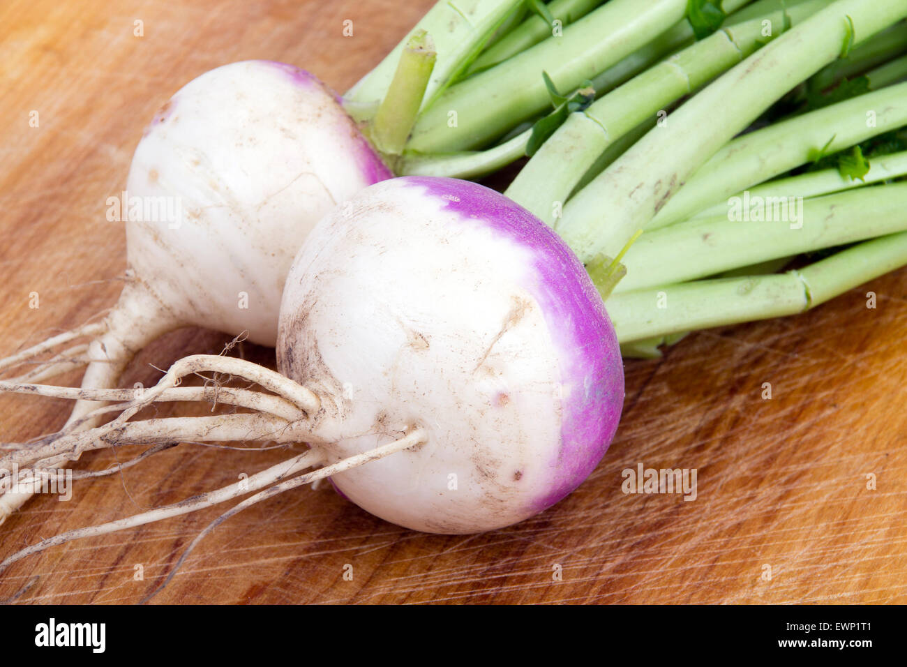 two organic purple top turnip on table Stock Photo