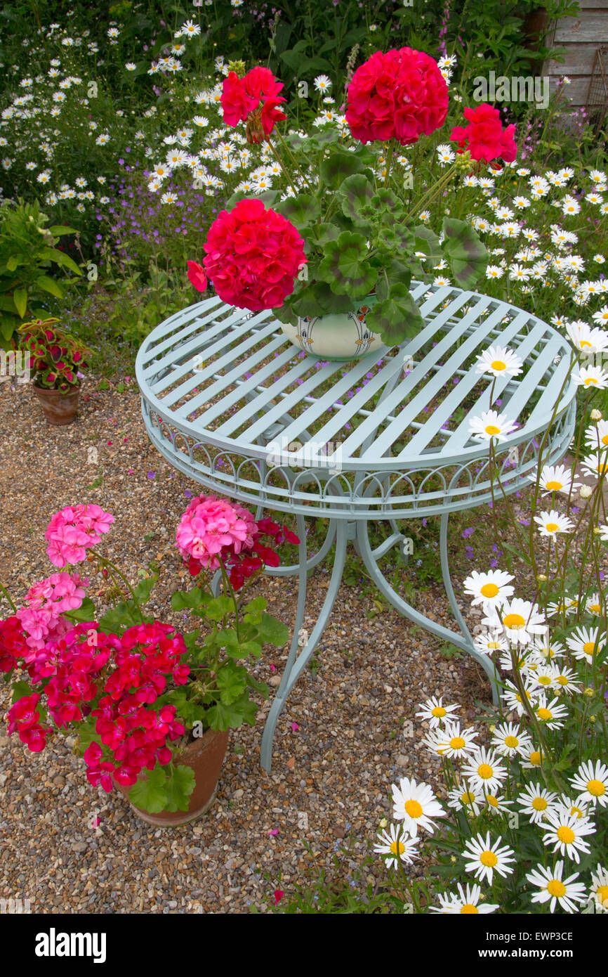 Garden still life with geraniums daises and blue garden table Stock