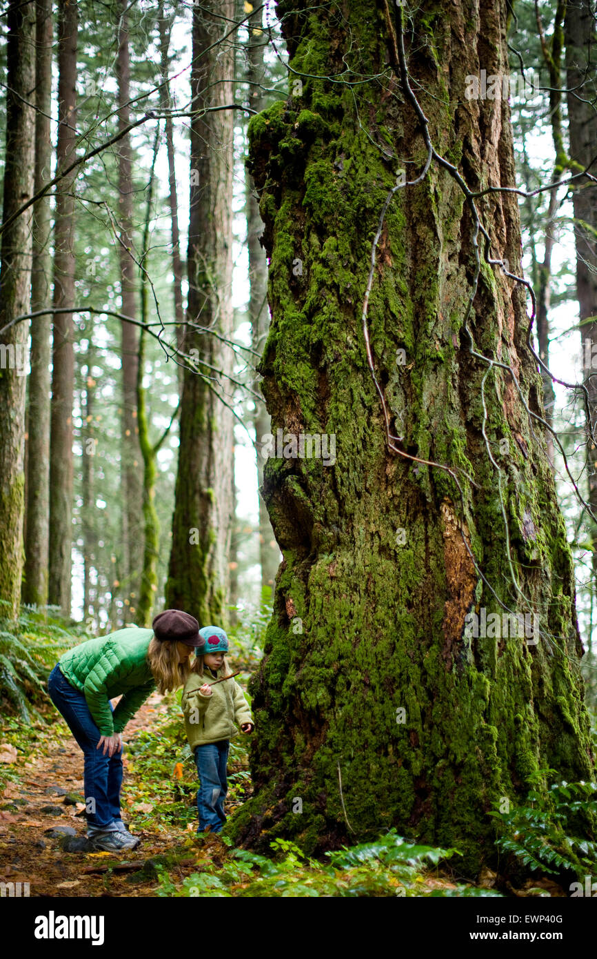 Mother and daughter on a hike in a temperate rainforest Stock Photo