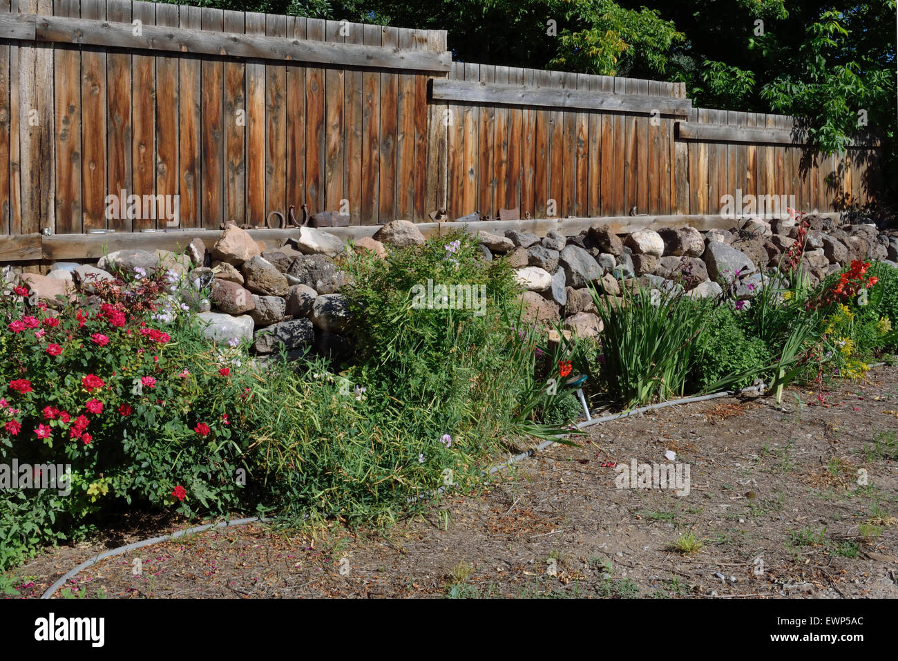 garden with watering system Northern New Mexico USA Stock Photo