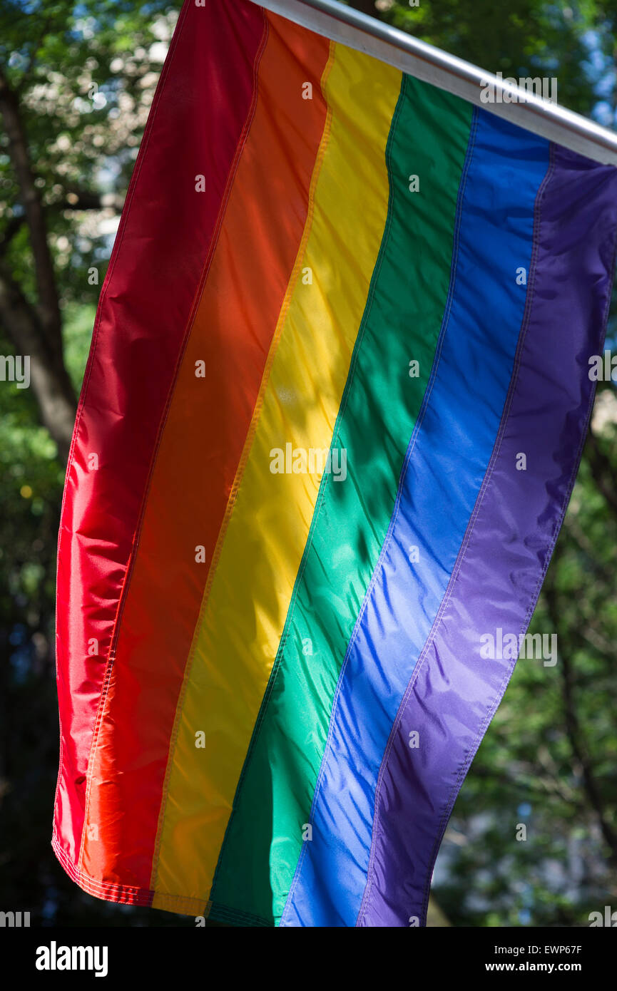 Gay pride rainbow flag flies in the bright sun against lush greenery on a leafy street Stock Photo
