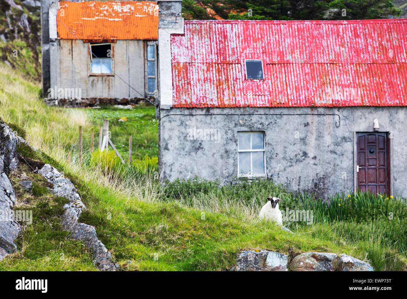Abandoned old croft house on the Golden Road on the East side of the