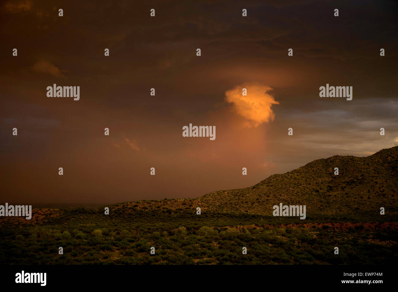 A haboob moves across the desert during a monsoon storm at sunset near ...