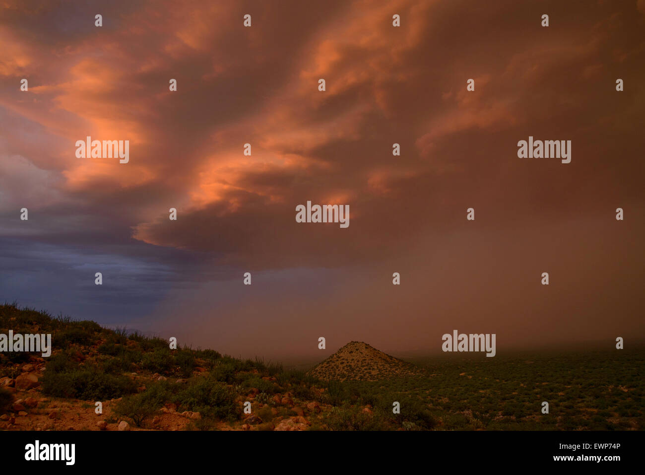 A haboob moves across the desert during a monsoon storm at sunset near ...