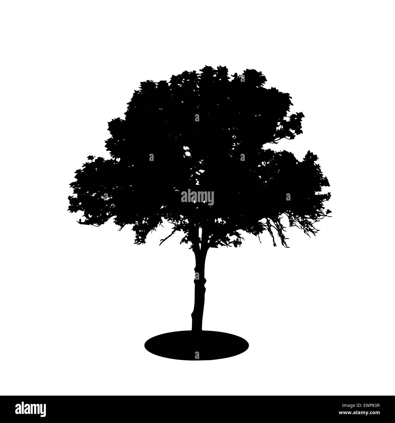 Tree Silhouette Isolated on White Backgorund. Vector Illustration Stock ...