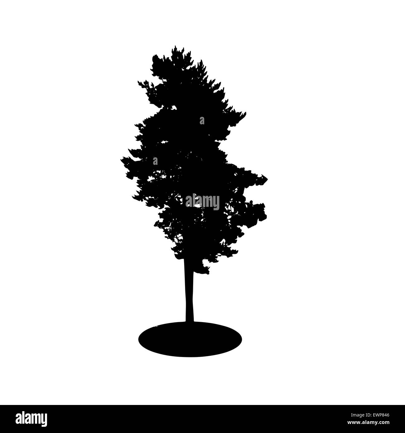 Tree Silhouette Isolated on White Backgorund. Vector Illustration Stock ...