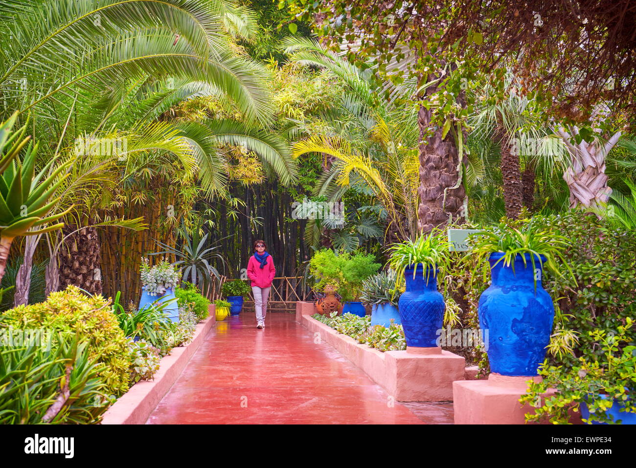 Jardin Majorelle Garden, Marrakesh, Morocco, Africa Stock Photo - Alamy