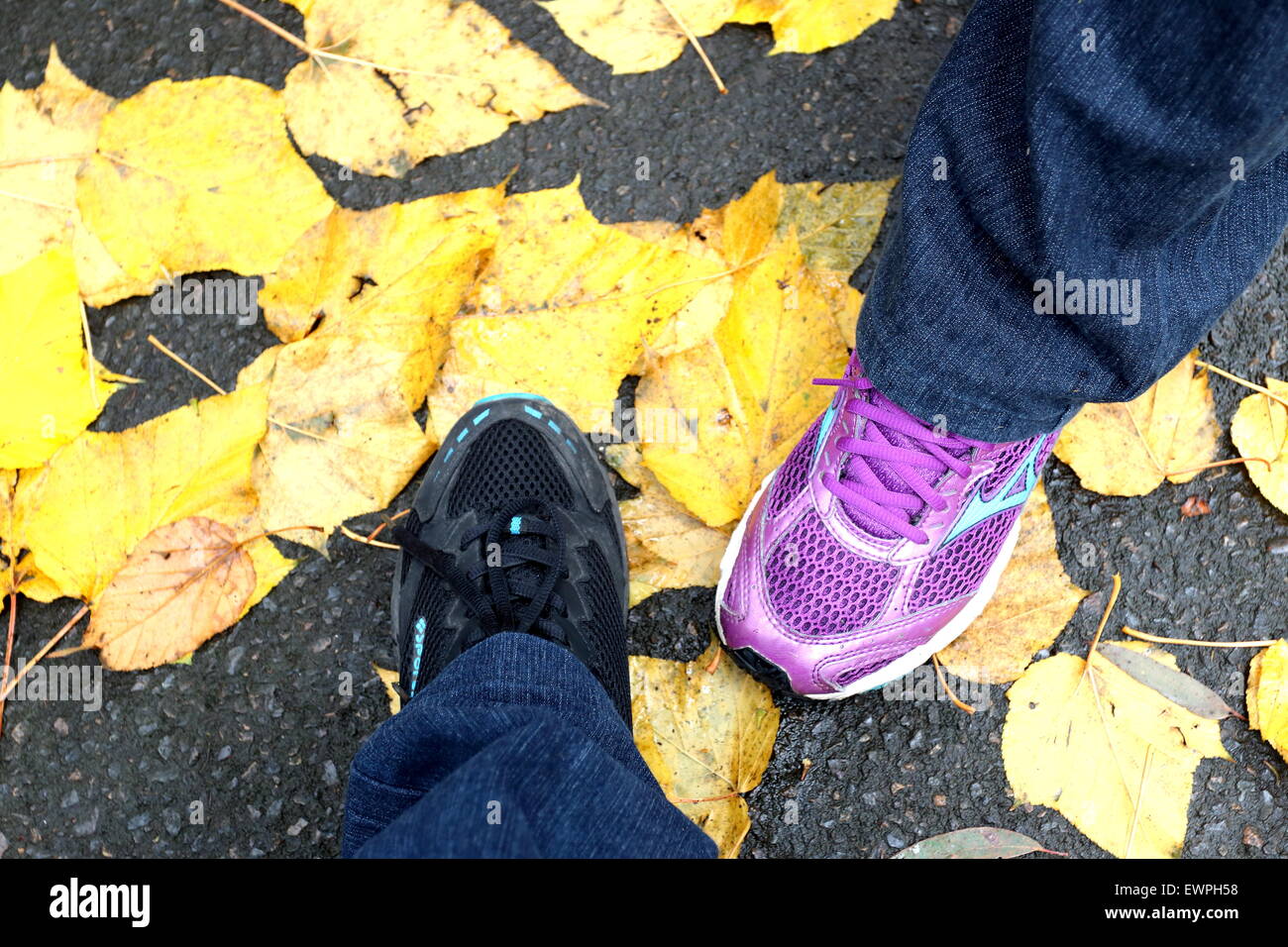 Two sneakers stepping on autumn leaves Stock Photo