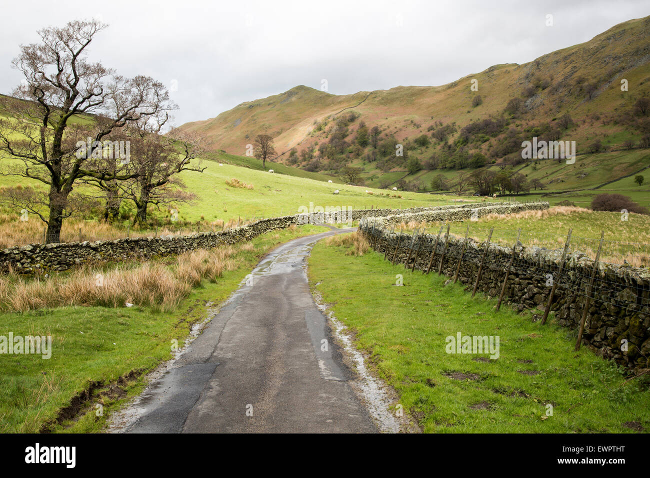 Narrow country road in Martindale valley, Ullswater, Lake District