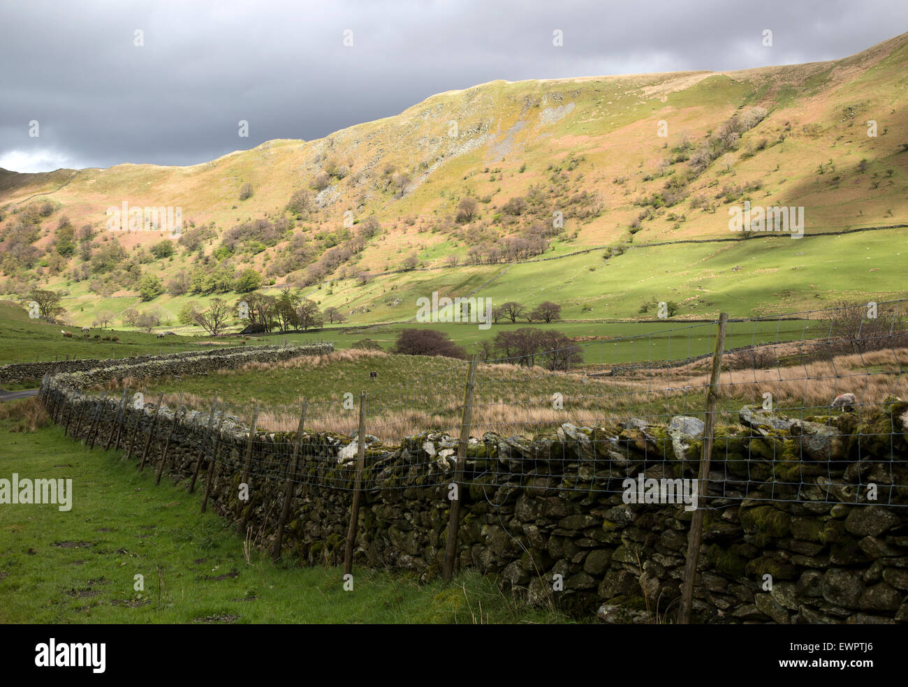 Martindale valley, Lake District national park, Cumbria, England, UK Stock Photo Alamy